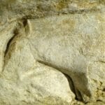 Abri du Cap-Blanc