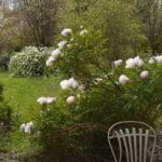Arboretum Adeline