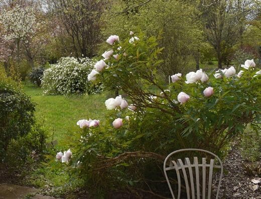 Arboretum Adeline