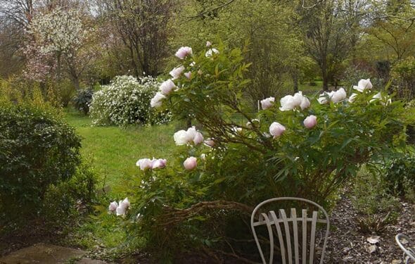 Arboretum Adeline