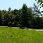 Arboretum de Lisieux