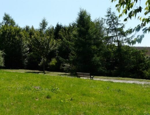 Arboretum de Lisieux