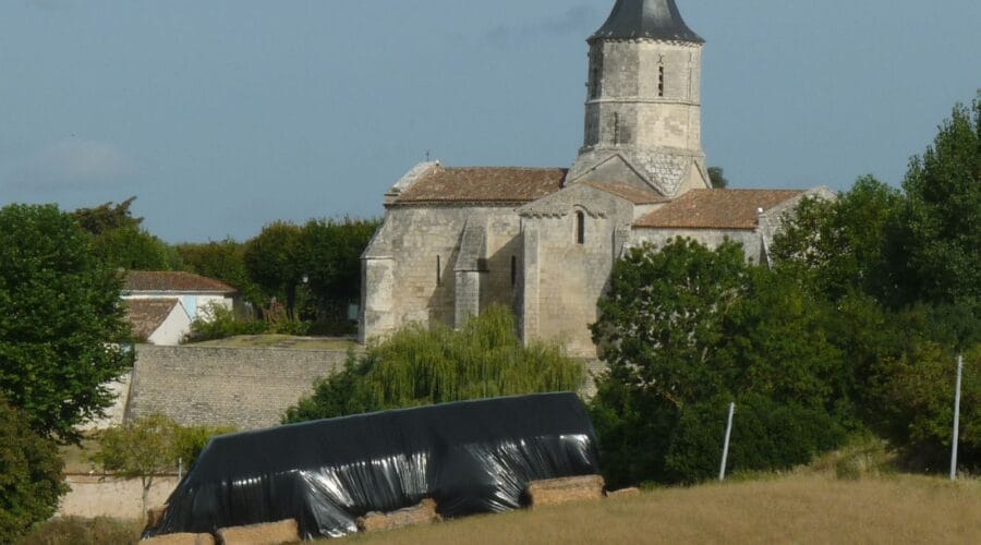 Église Saint-Martin d'Arces