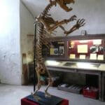 Château de Sauveboeuf