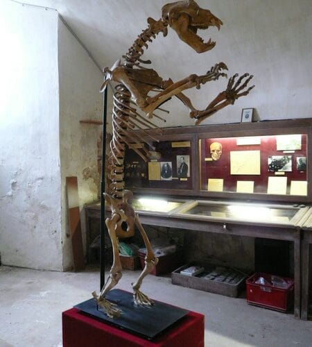 Château de Sauveboeuf