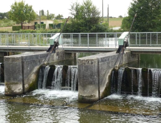 Site du Marais Pin (Magné)