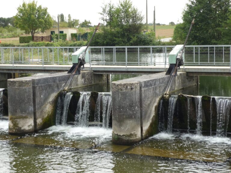 Site du Marais Pin (Magné)