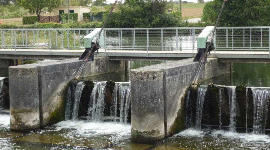 Site du Marais Pin (Magné)