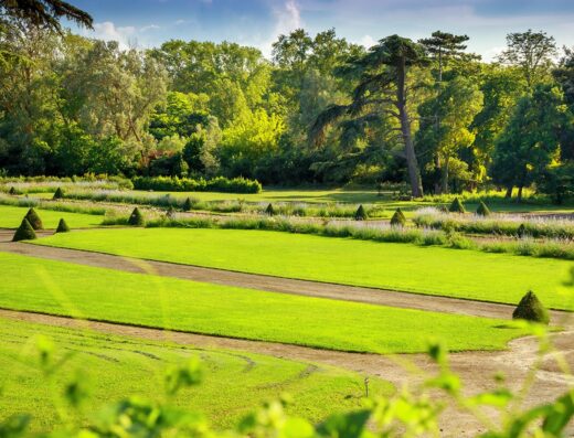 PARC DU CHÂTEAU DE PENNAUTIER