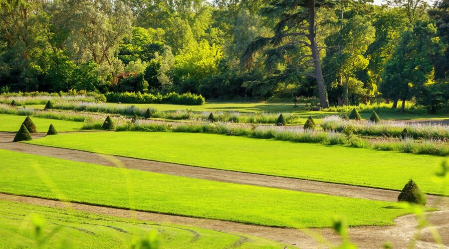 PARC DU CHÂTEAU DE PENNAUTIER