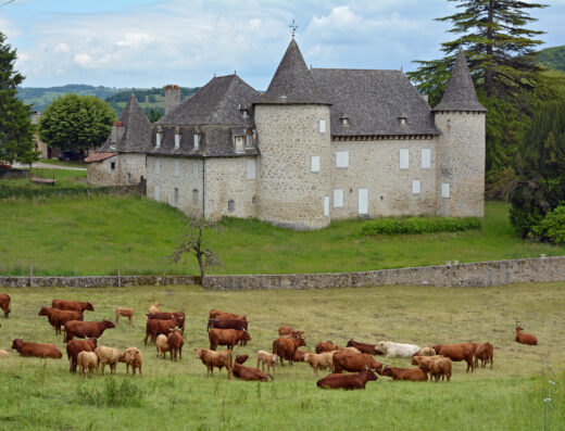 Château d'Entraygues