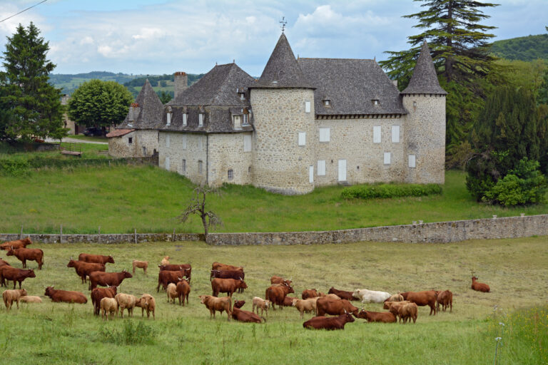Château d&rsquo;Entraygues
