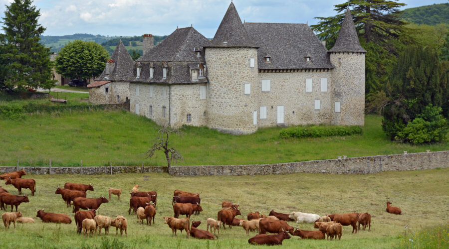 Château d'Entraygues