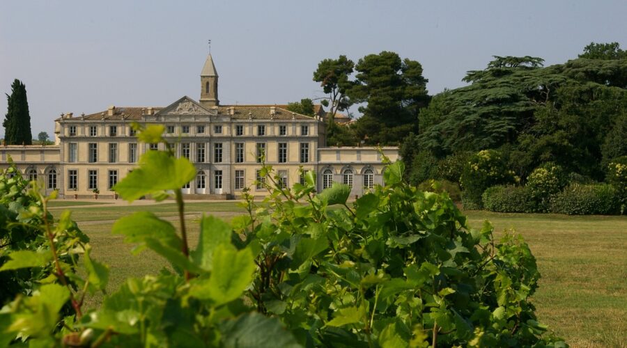 CHÂTEAU DE PENNAUTIER