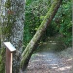 Chapelle des Bois