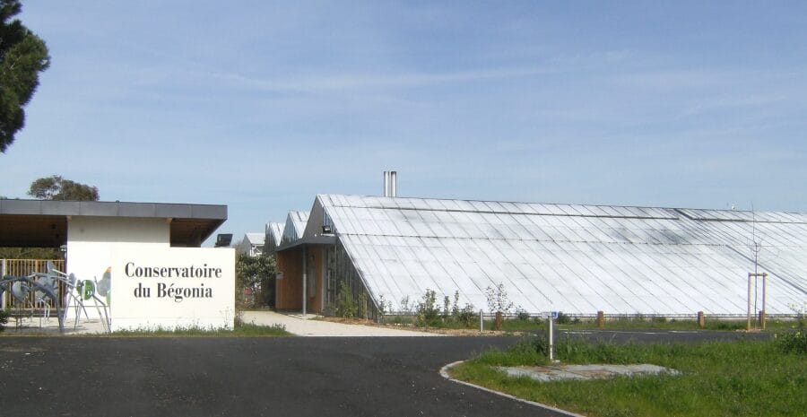Conservatoire du Bégonia