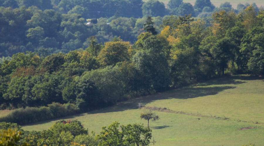 Eglise St Barthélémy (XVIIIè-XIXè)