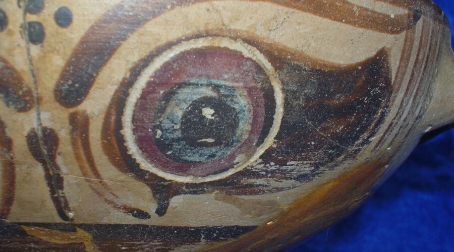 MUSÉE DES CORBIÈRES