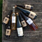 CIDRICCHUS - Le Cidre de Simon