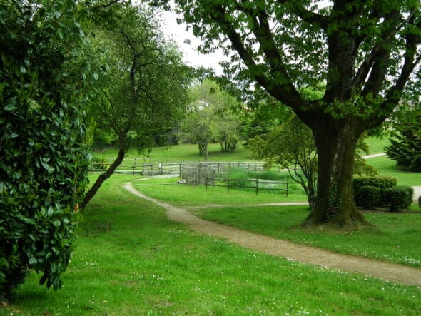 Jardin des Abiès
