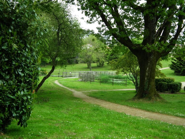 Jardin des Abiès