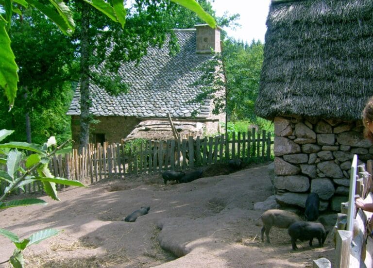Les fermes du Moyen-Âge