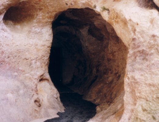 Grotte de Font-de-Gaume