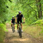 La Motte Castrale d'Olivet