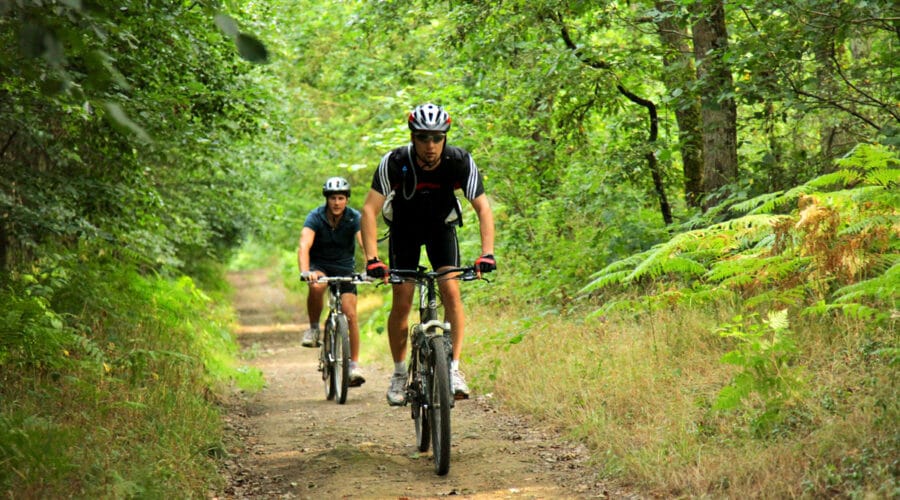 La Motte Castrale d'Olivet