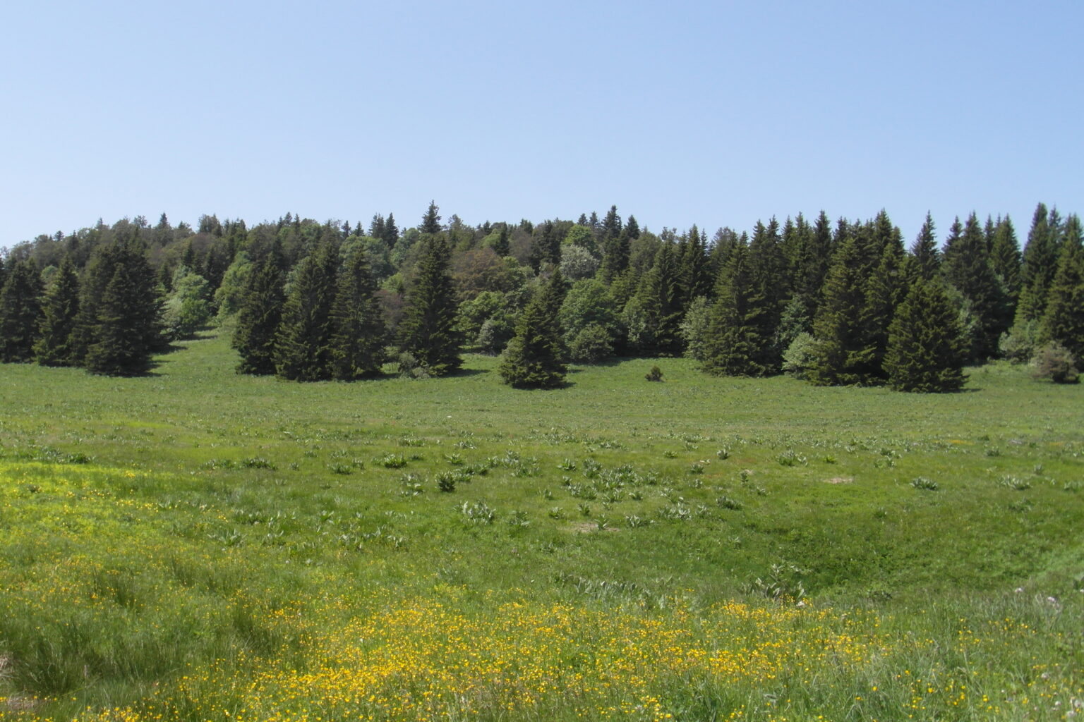 La Ferme d'Herbouilly