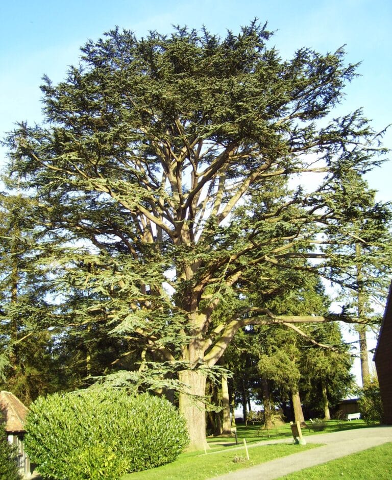 Arboretum d&rsquo;Harcourt