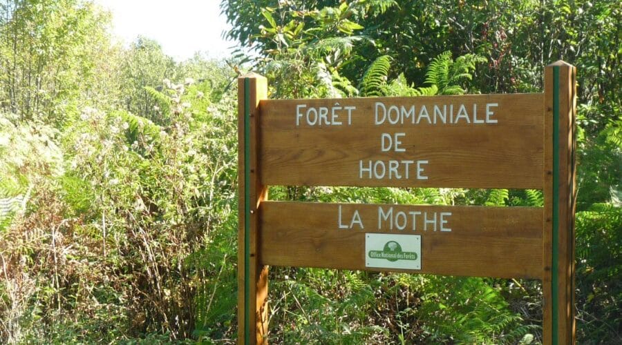 Arboretum Jean Aubouin