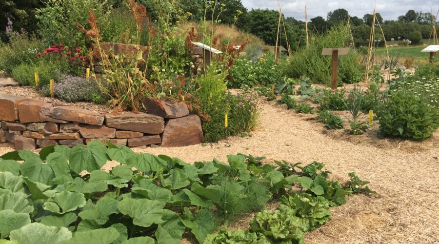 Maison de la Nature et de la Pierre Sèche