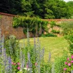 Domaine des Roches Blanches