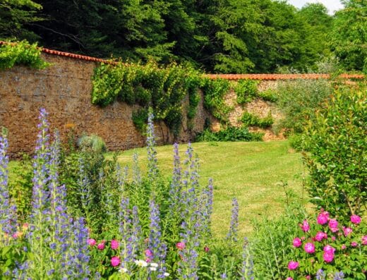 Domaine des Roches Blanches