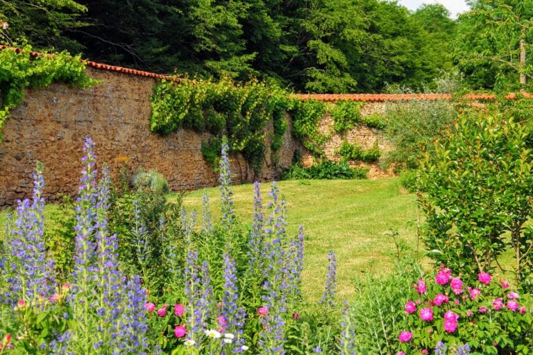 Domaine des Roches Blanches