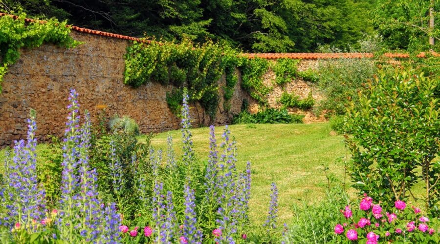 Domaine des Roches Blanches