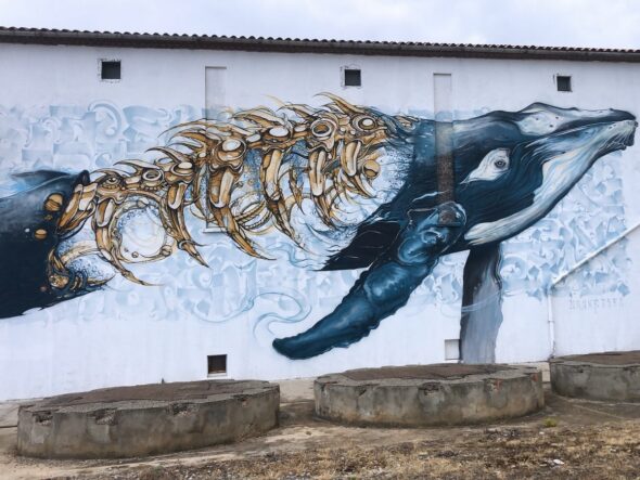 SPIKTRI STREET ART UNIVERSE