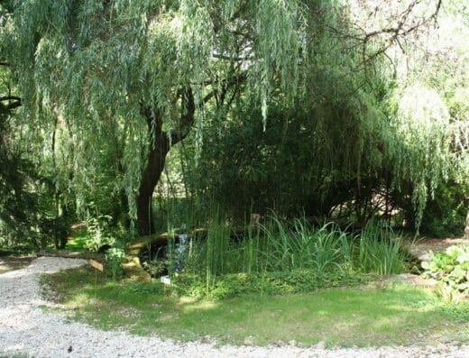 A Fleur d'eau