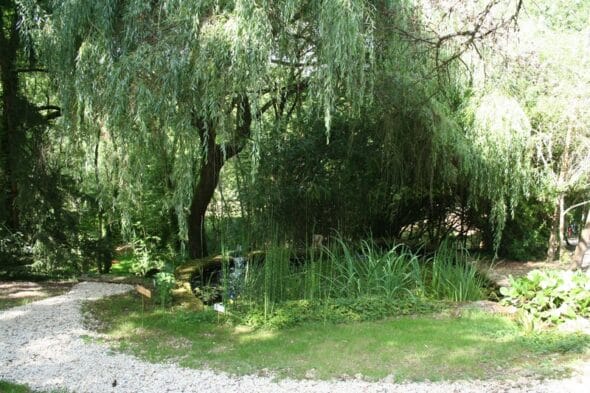 A Fleur d'eau