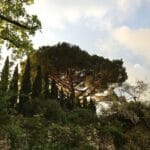 Les Jardins de Sardy