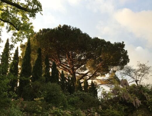 Les Jardins de Sardy