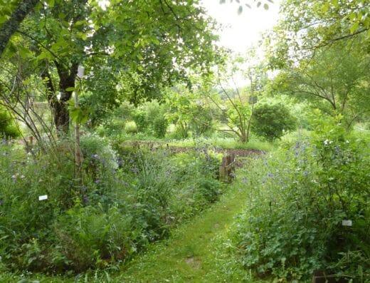 Jardin botanique d'ALAIJE