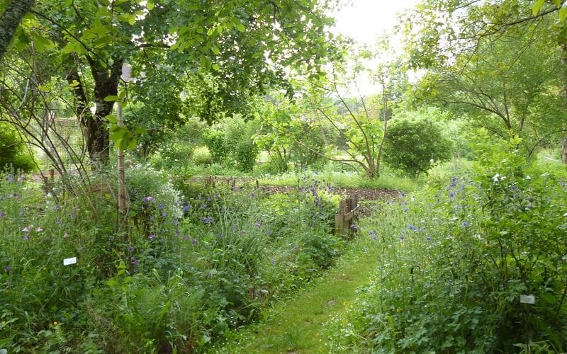 Jardin botanique d'ALAIJE