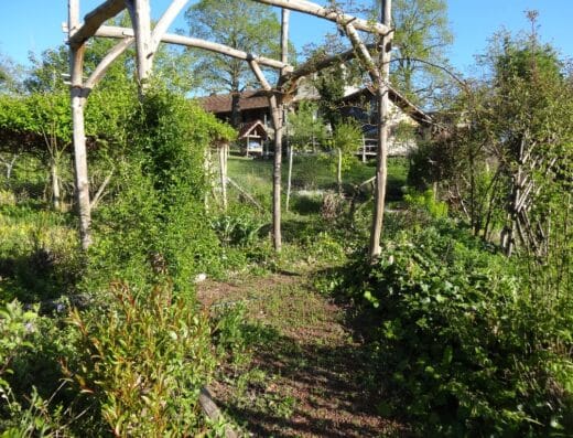 Le Jardin de Paradis