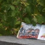 Jardins Labyrinthe de Vignes