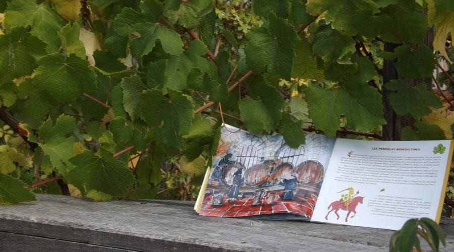 Jardins Labyrinthe de Vignes