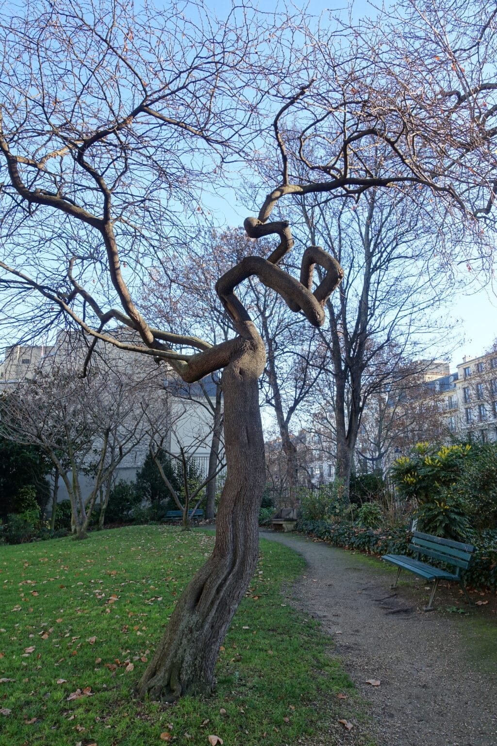 Jardin de l'hôtel Salomon de Rothschild