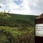 LE SENTIER EN POÉSIE