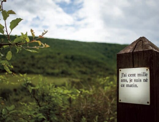 LE SENTIER EN POÉSIE
